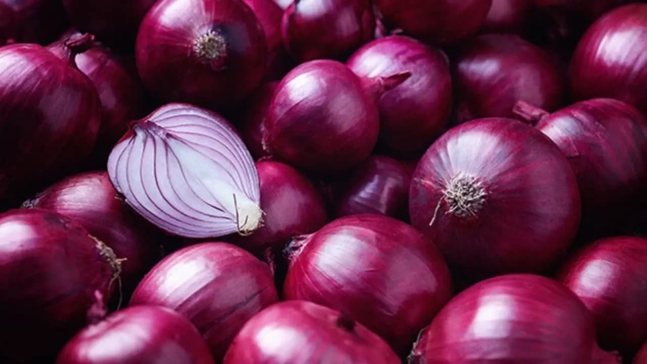 Heatstroke Prevention: Can Carrying Onions Protect You from Extreme Heat Science vs Myth