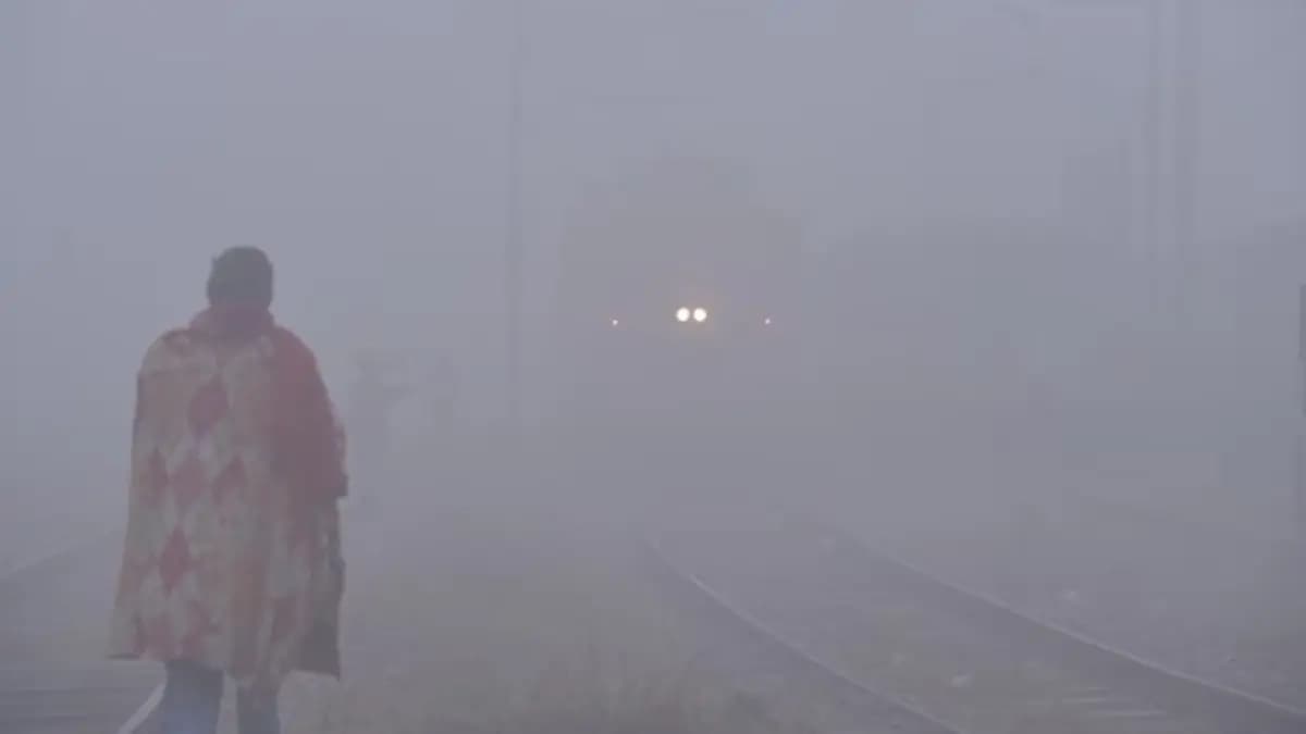 Delhi Weather Today, dense fog alert continues, forecast of rain too gnr