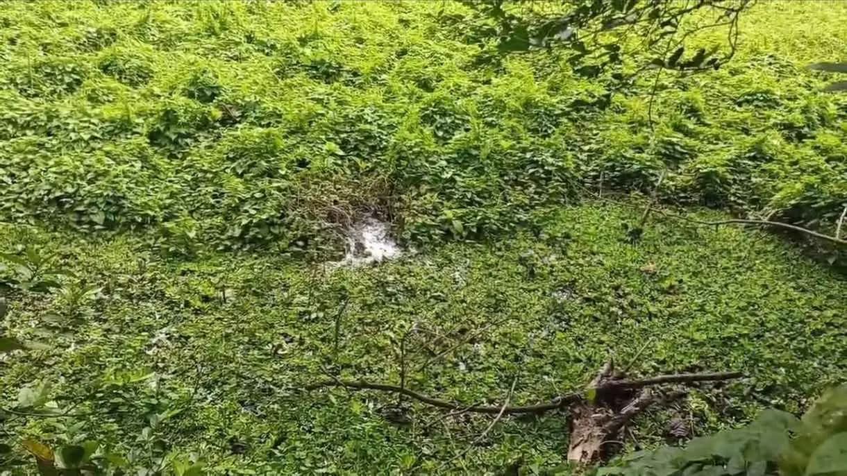 Explosion rocked the area in Midnapore