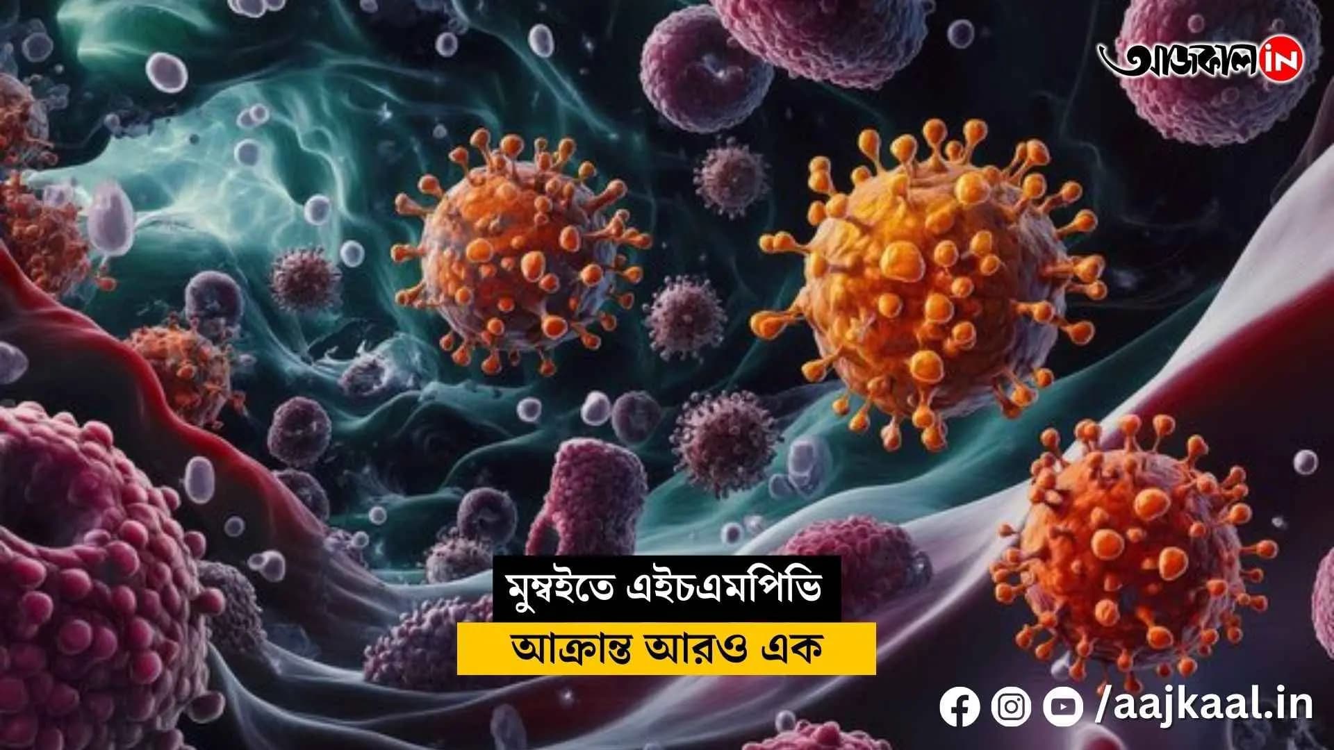 With the HMPV outbreak, will India once again head towards a lockdown vdo
