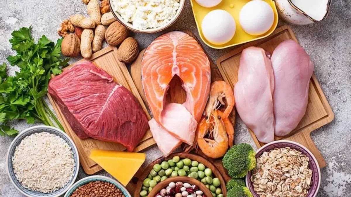 Is Eating too much protein beneficial or harmful know How much your body need lif