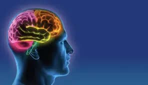 how the brain can Miraculously switch off pain_gnr