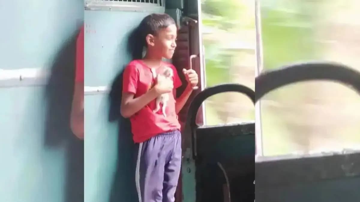 Little Boy with His Kitten’s  Train Ride viral video