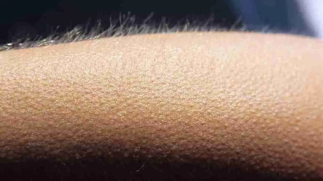Groom Started Sweating Before Suhaag Raat Knowing Bride is a Looteri Dulhan