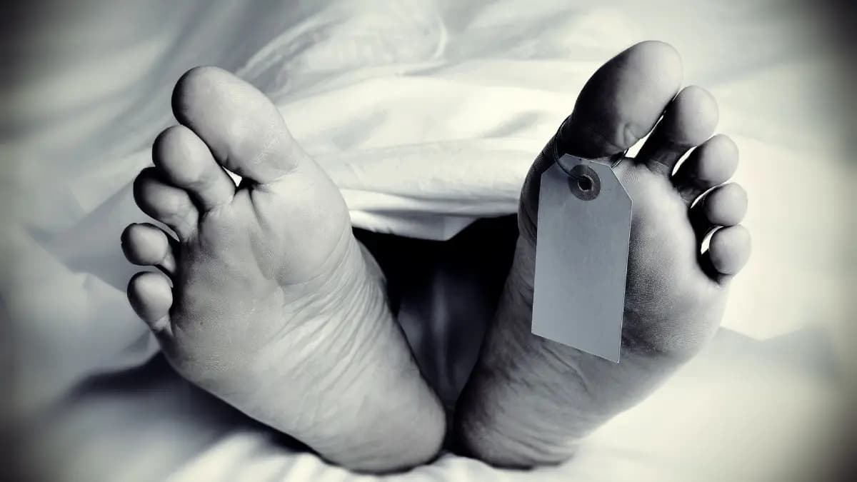 A former professor ended his life by jumping from the terrace gnr