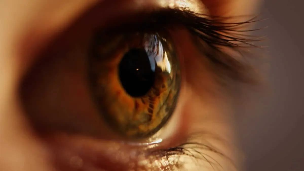 Daily Habits which can help you to keep your retina healthy