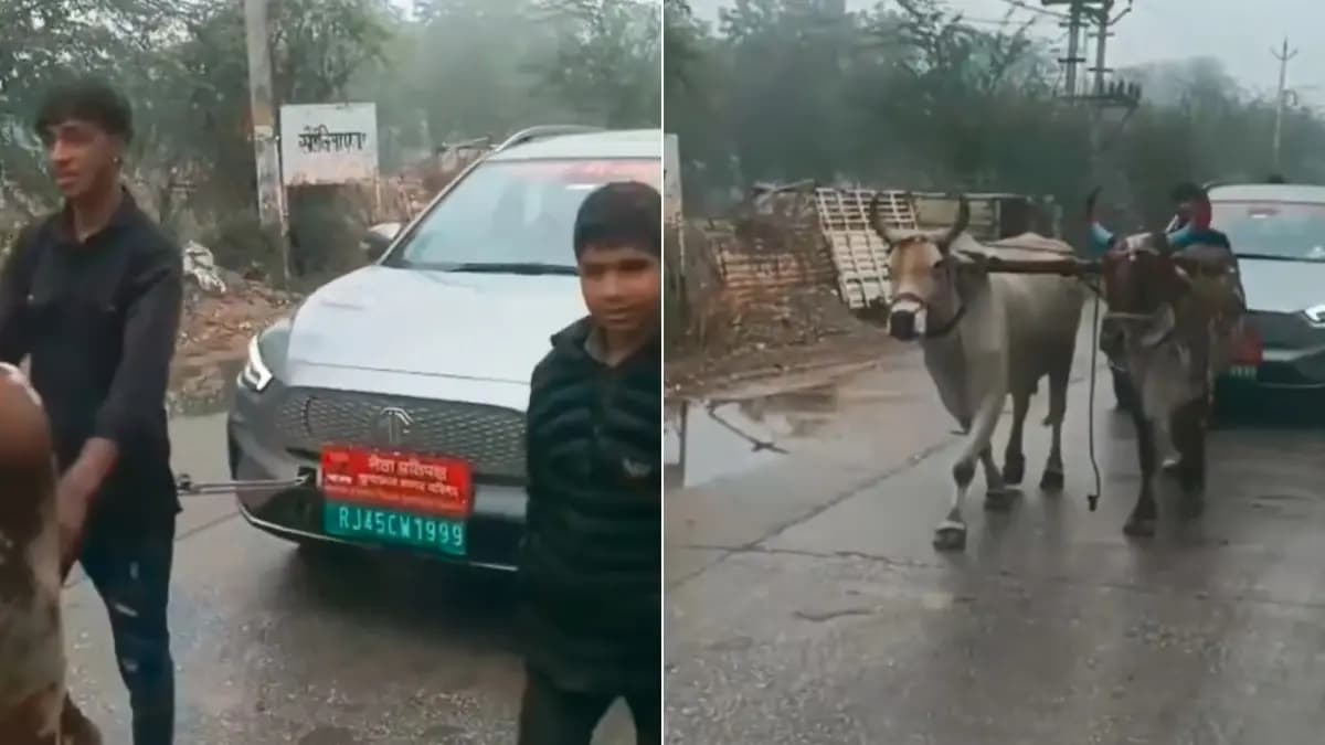 Viral Video of two oxen pulling a electric car after breakdown in Rajasthan gnr