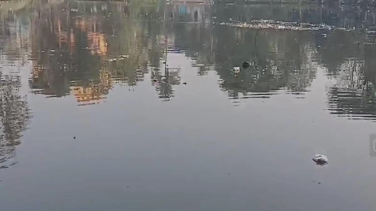 human body parts recover from pond in barasat north 24pargana
