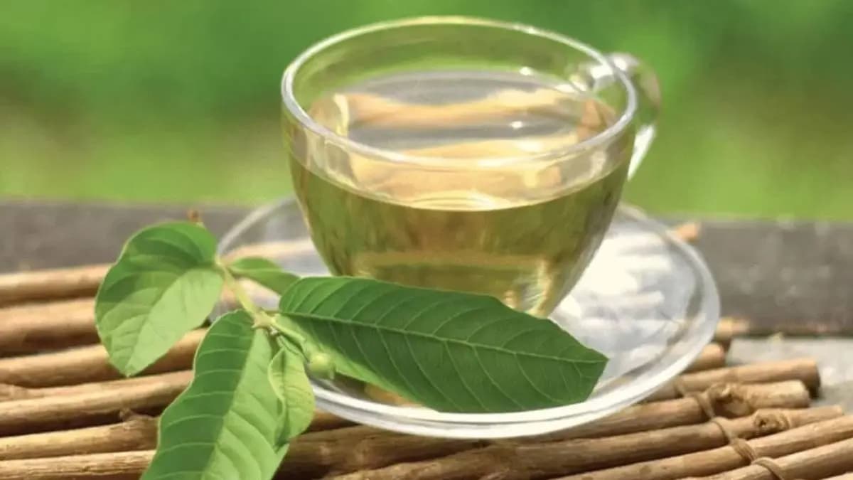 Guava leaves are a cure for all ailments from head to toe