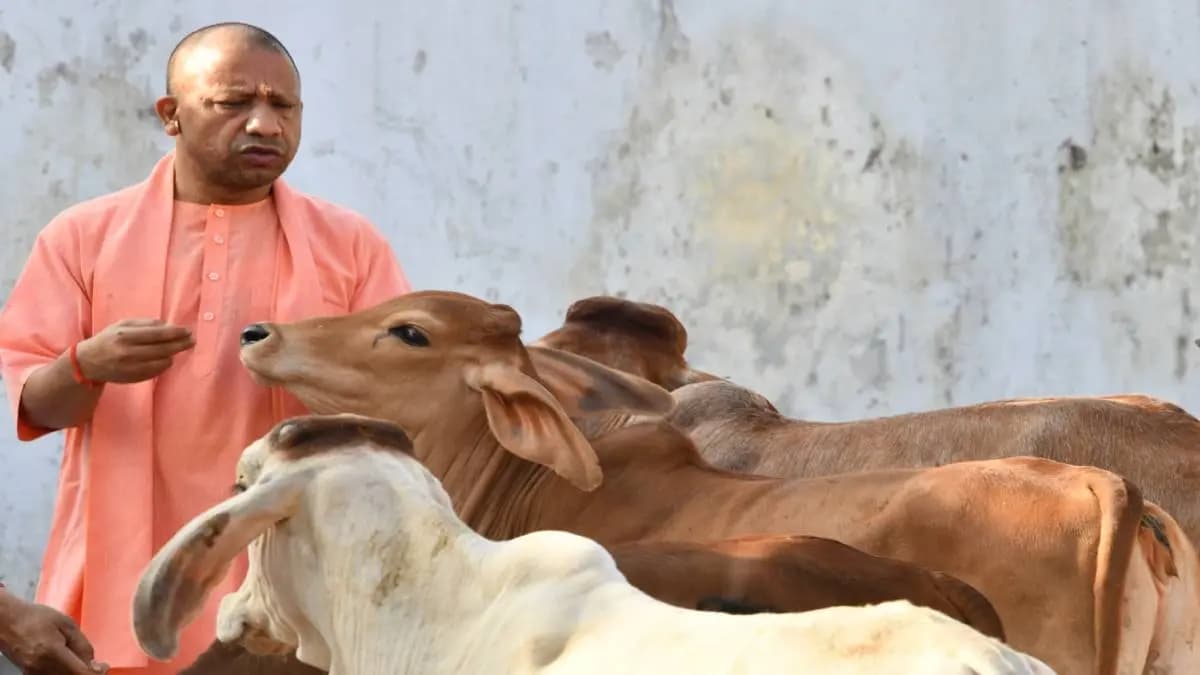 UP govt take initiative to make medicines from cow urine