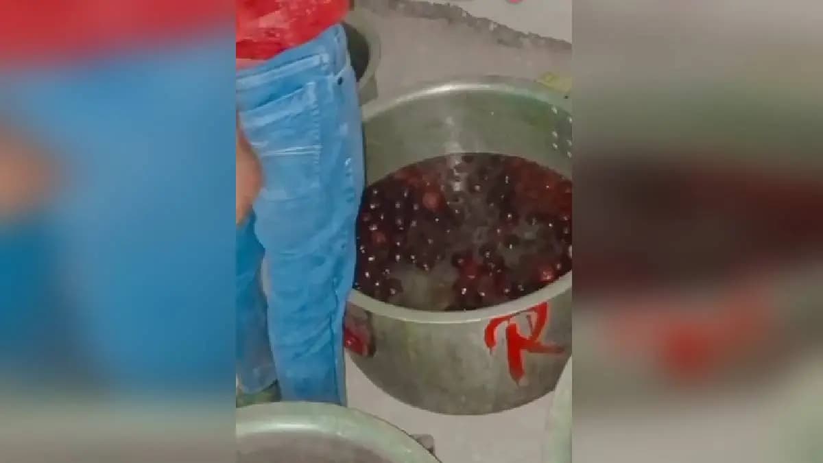 is the cook urinating into vat of gulab jamun viral video disgusts internet