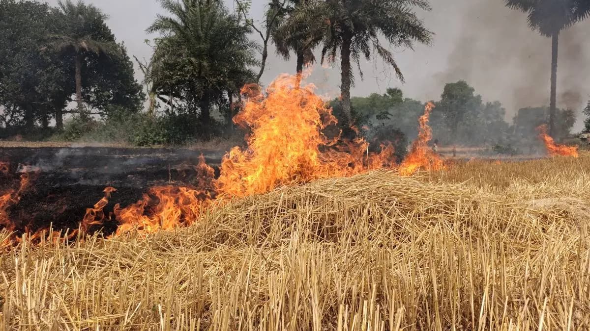 Fire engulfed several agricultural land in Murshidabad