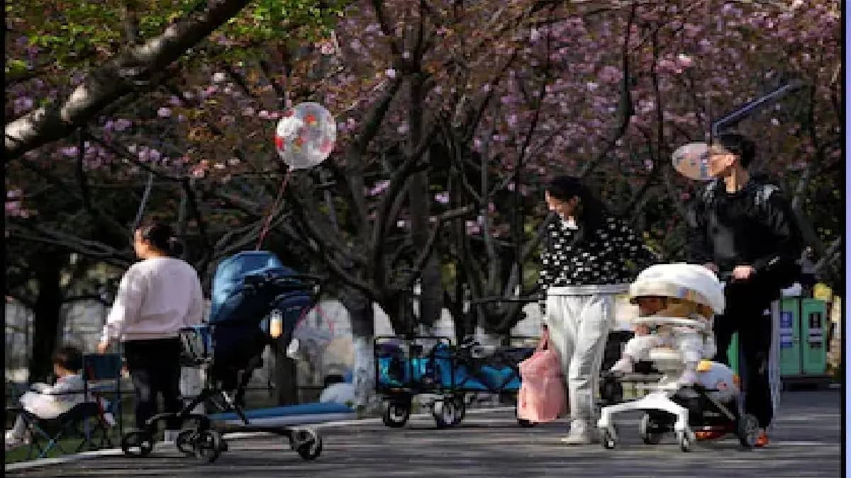 China Promoting Love Education Amid Declining Interest In Marriage Kids 