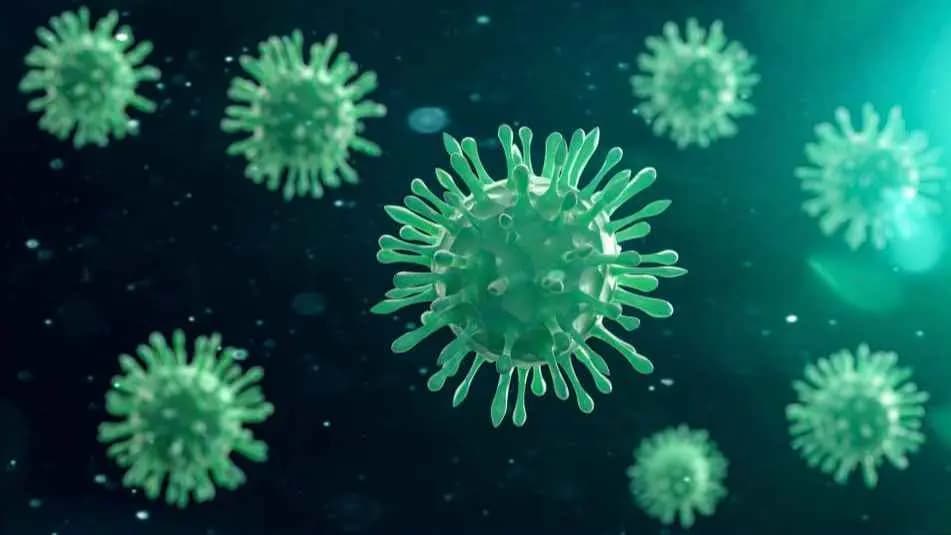 norovirus infections 400 Cases And Rising Deadly Vomiting Bug Hits UK gnr 