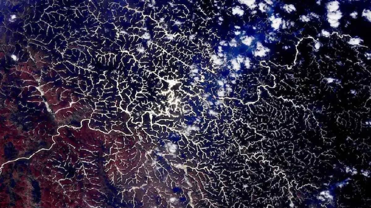 Amazon appears almost like a living organism from Space