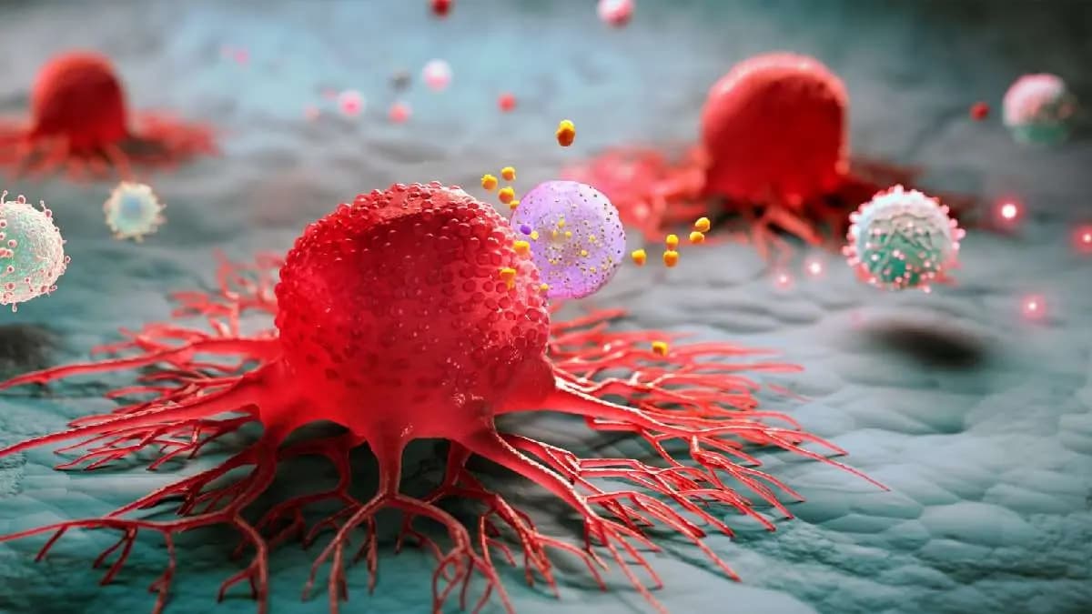 These daily utensils can cause cancer