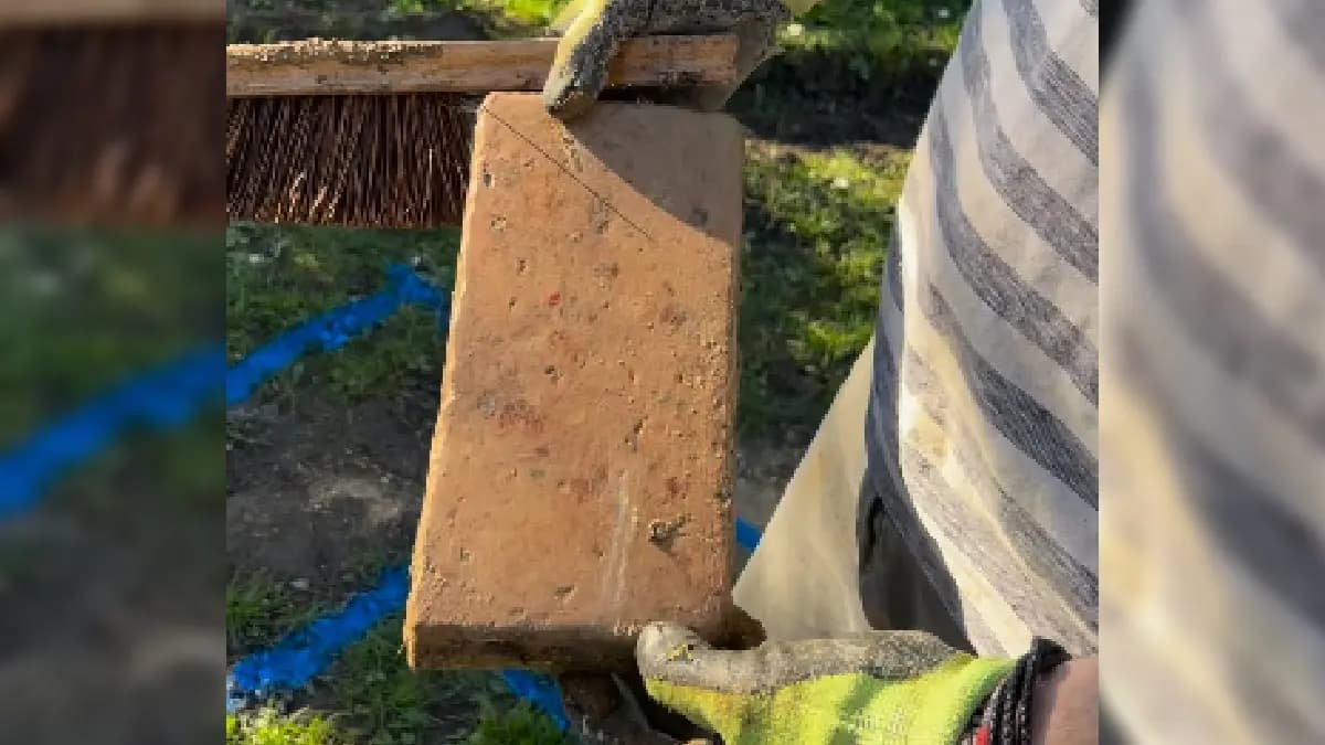 couple found hidden items from 400 years old house then what happen gnr