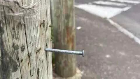 Boy Dies After Shirt Collar Gets Caught On Nail In The Bedroom in Kerala