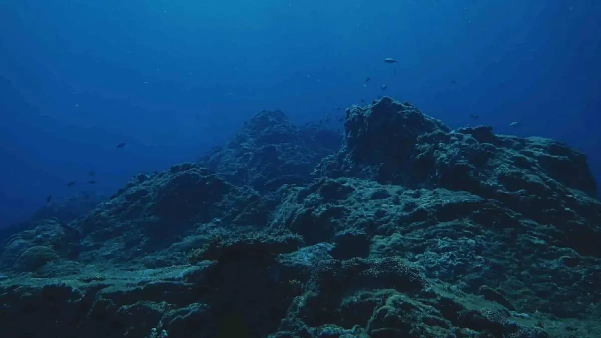 Mysterious Submerged Lost World Discovered Beneath the Pacific Ocean  gnr