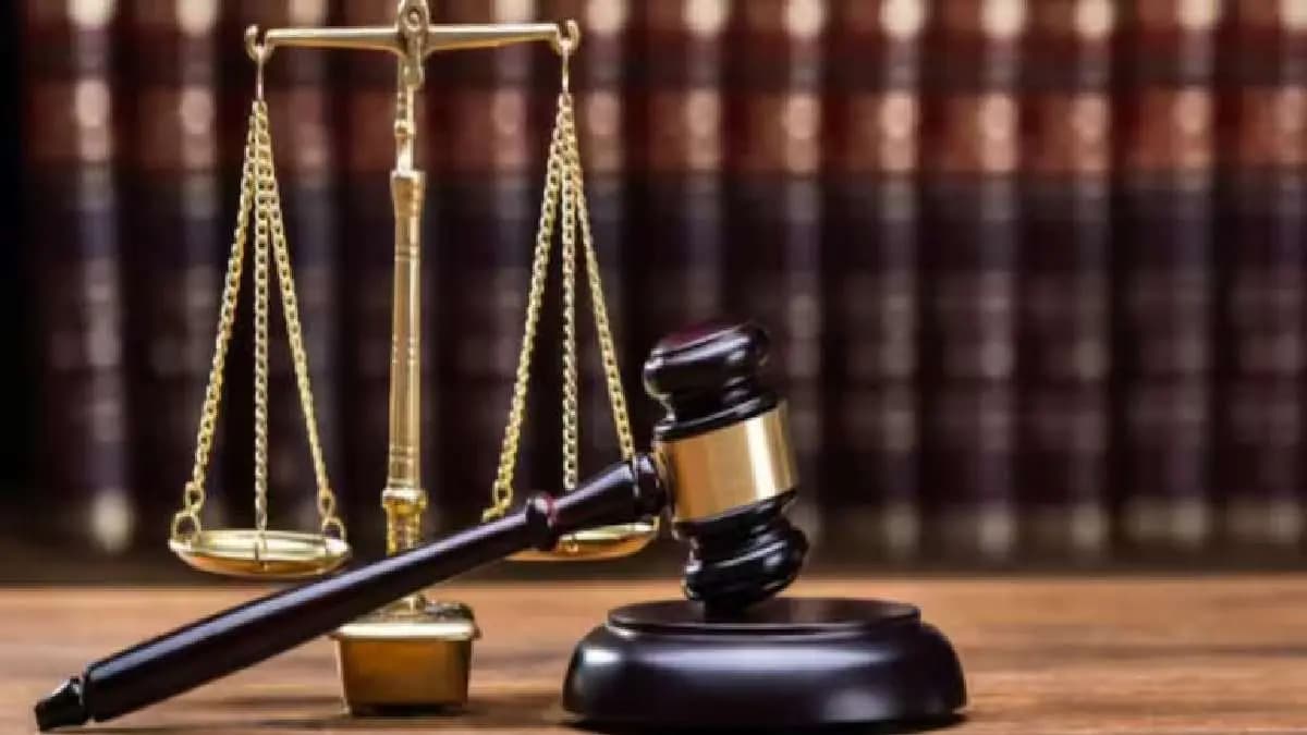 Rule of law prevails or muscle power Bombay High Court on Navi Mumbai illegal constructions 