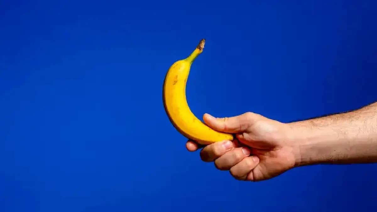 Bizarre physical intimacy ritual in banana slugs still puzzles scientists
