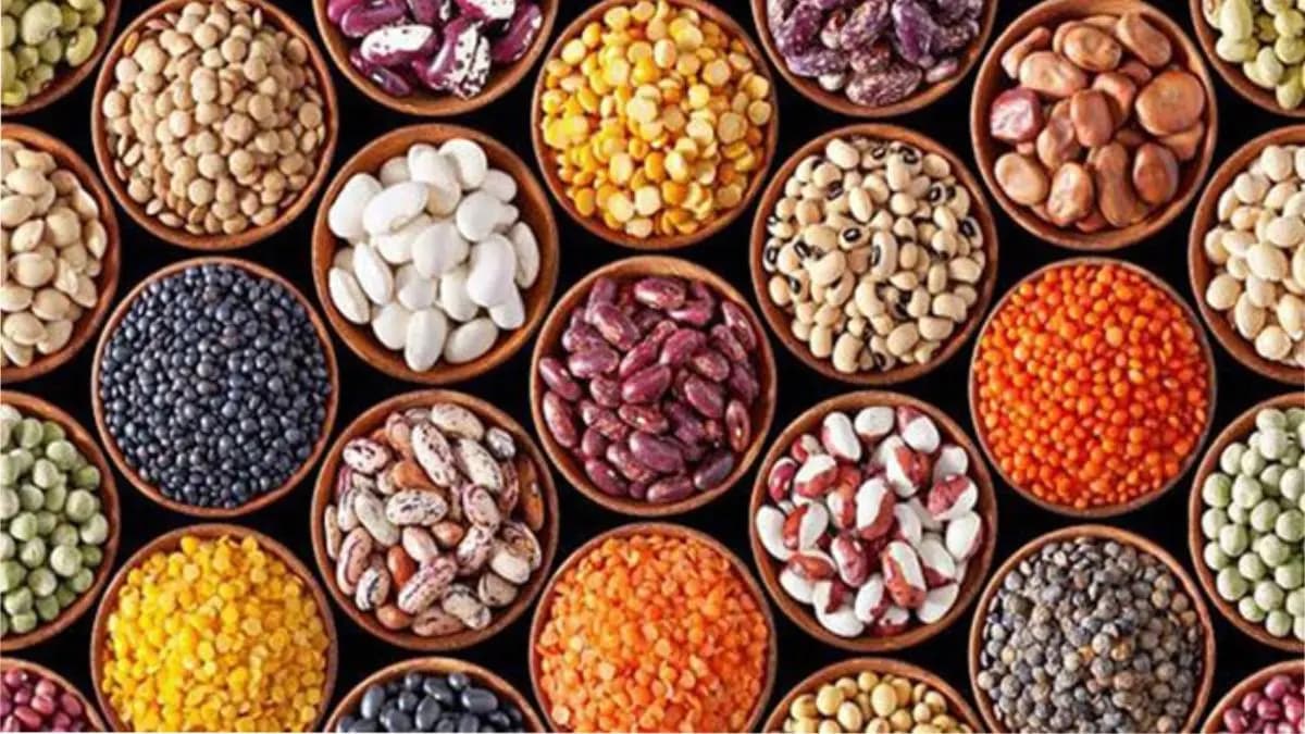 which dal has maximum nutrition value and helps to lose weight know the procedure of eating lif