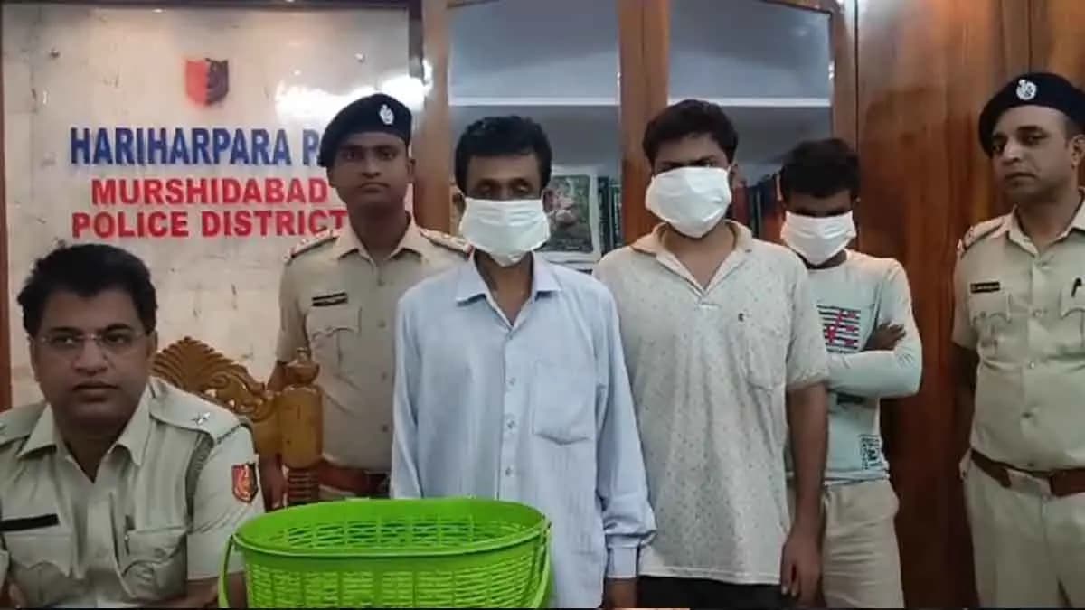 Rare Gecko Rescued in Murshidabad Before Smuggling gnr 