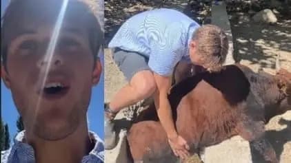 Australian man rescues stranded cow from drain in India