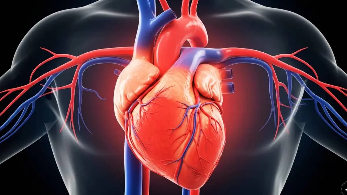 Know The Unusual Signs Of A Heart Attack Except Chest Pain