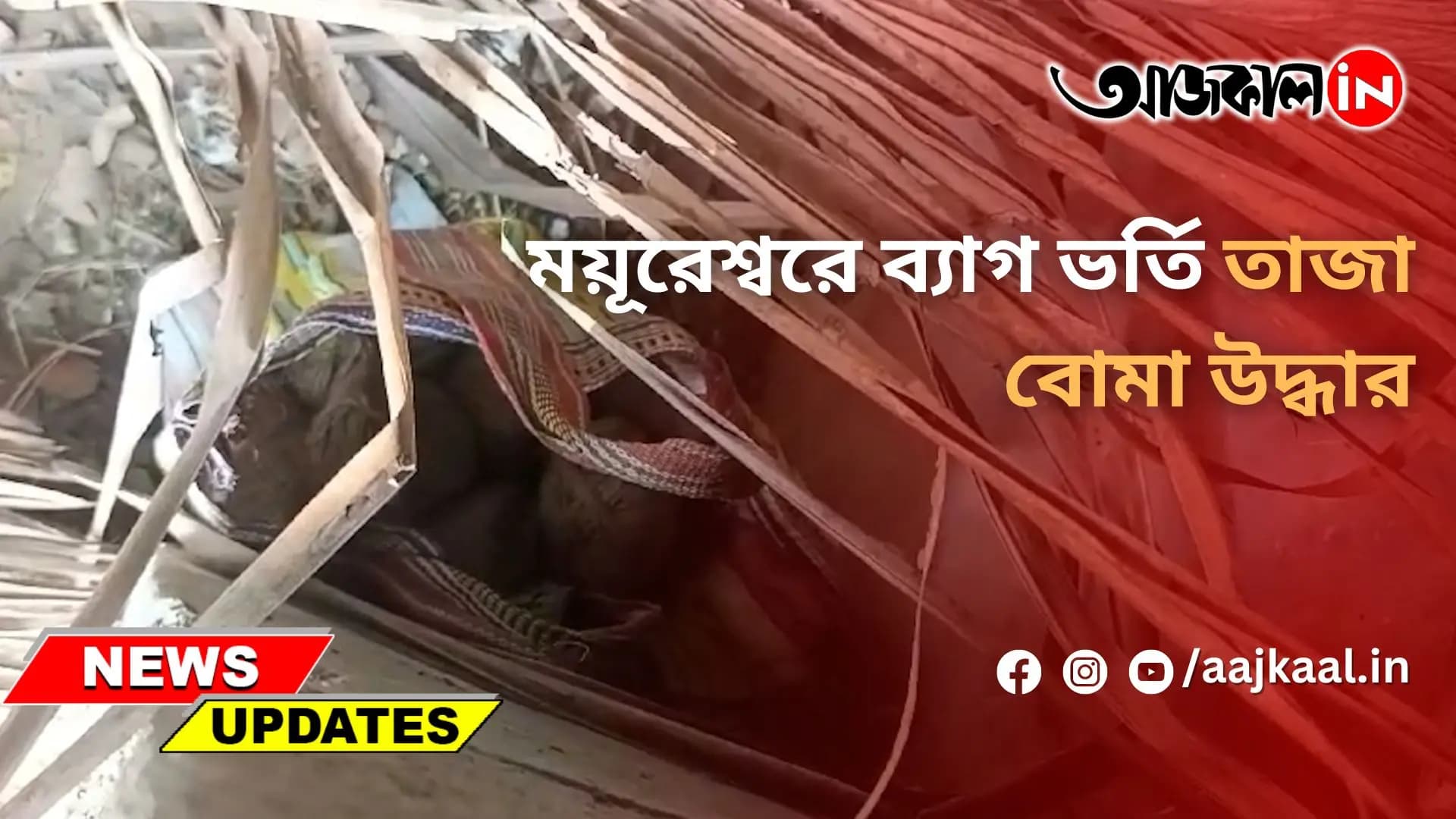 ময়ূরেশ্বরে ব্যাগ ভর্তি তাজা বোমা উদ্ধার
