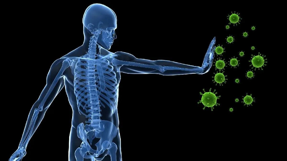 These Daily habits affect immunity