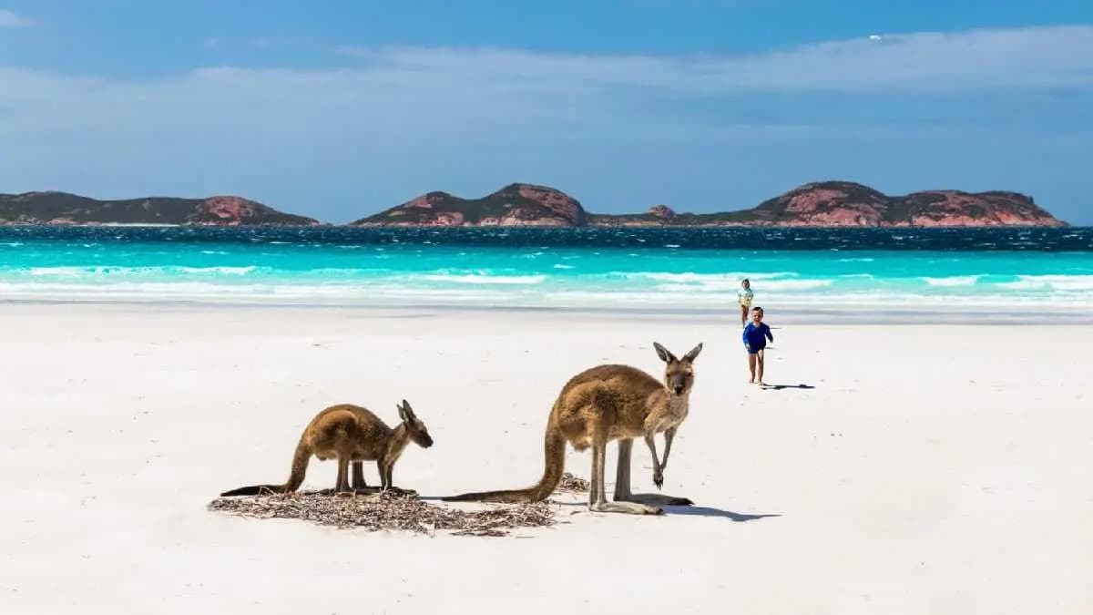 Worlds fastest continent australia is on a collision course with asia gnr 