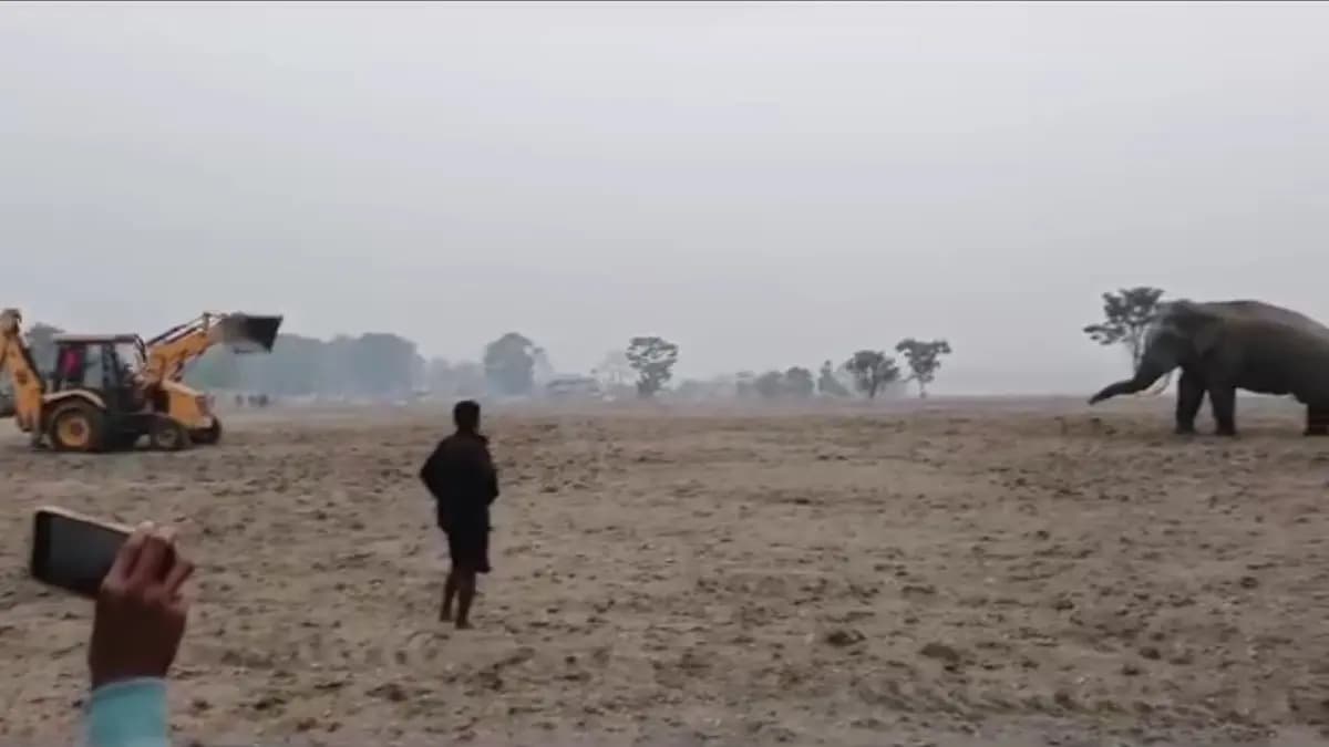 An elephant got injured in Dooars gnr