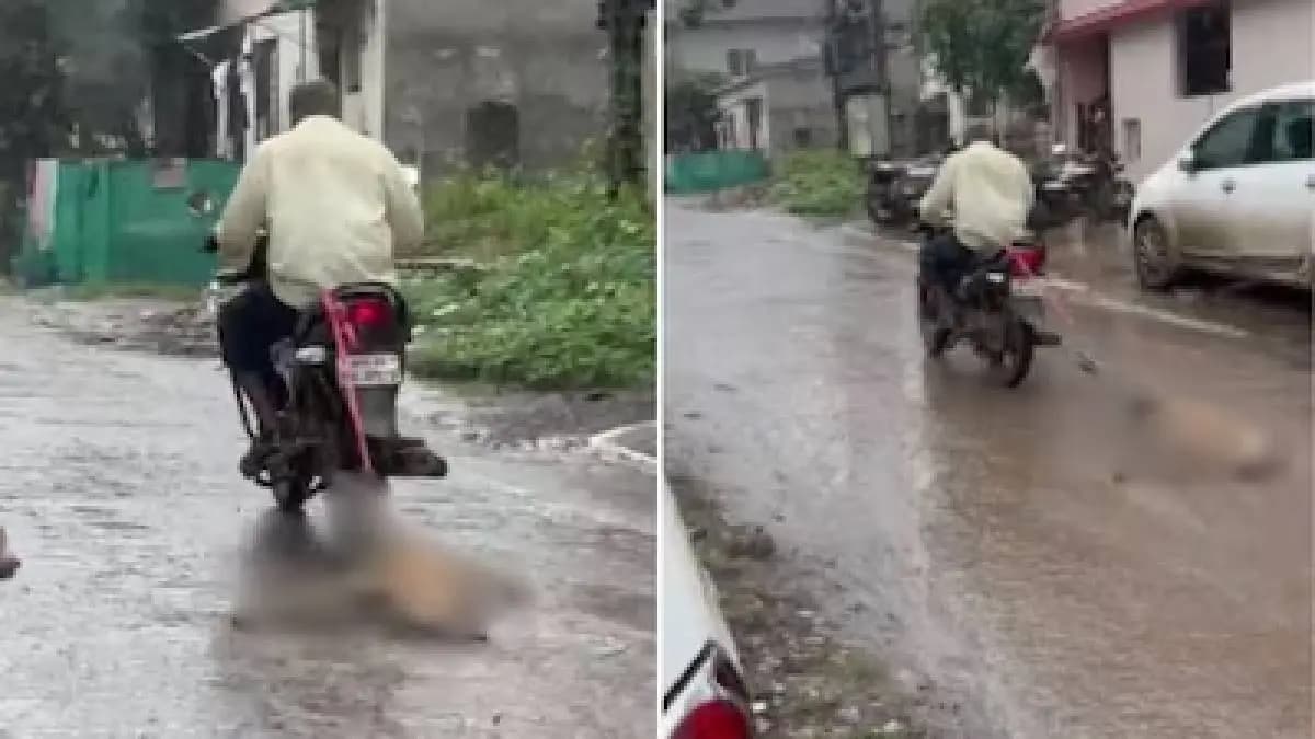 Nashik Man Kills Stray Dog Then Drags It Behind Bike