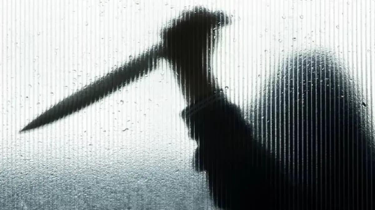 Teen Gang Stabs Delhi Man To Death For Resisting Phone Snatching