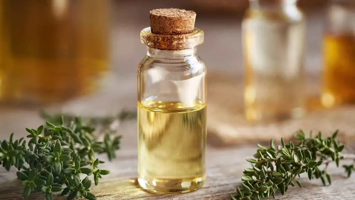 Reduces Anxiety and Helps with Digestive System thyme benefits