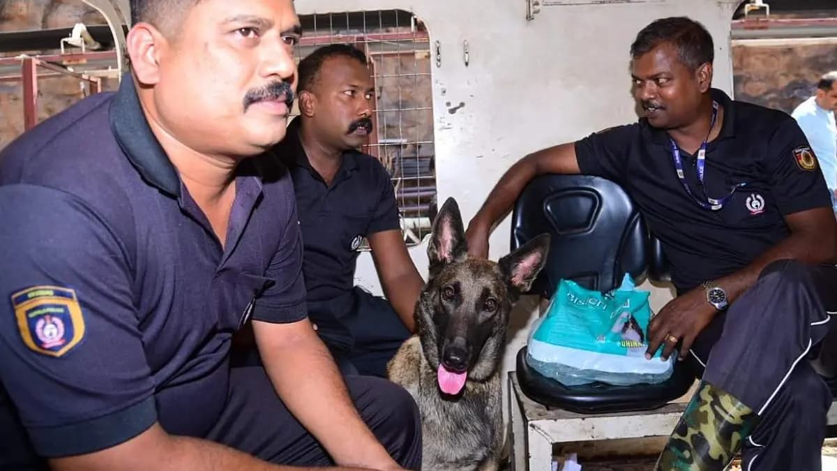 Telengana tunnel collapse rescue operations on way one more body found