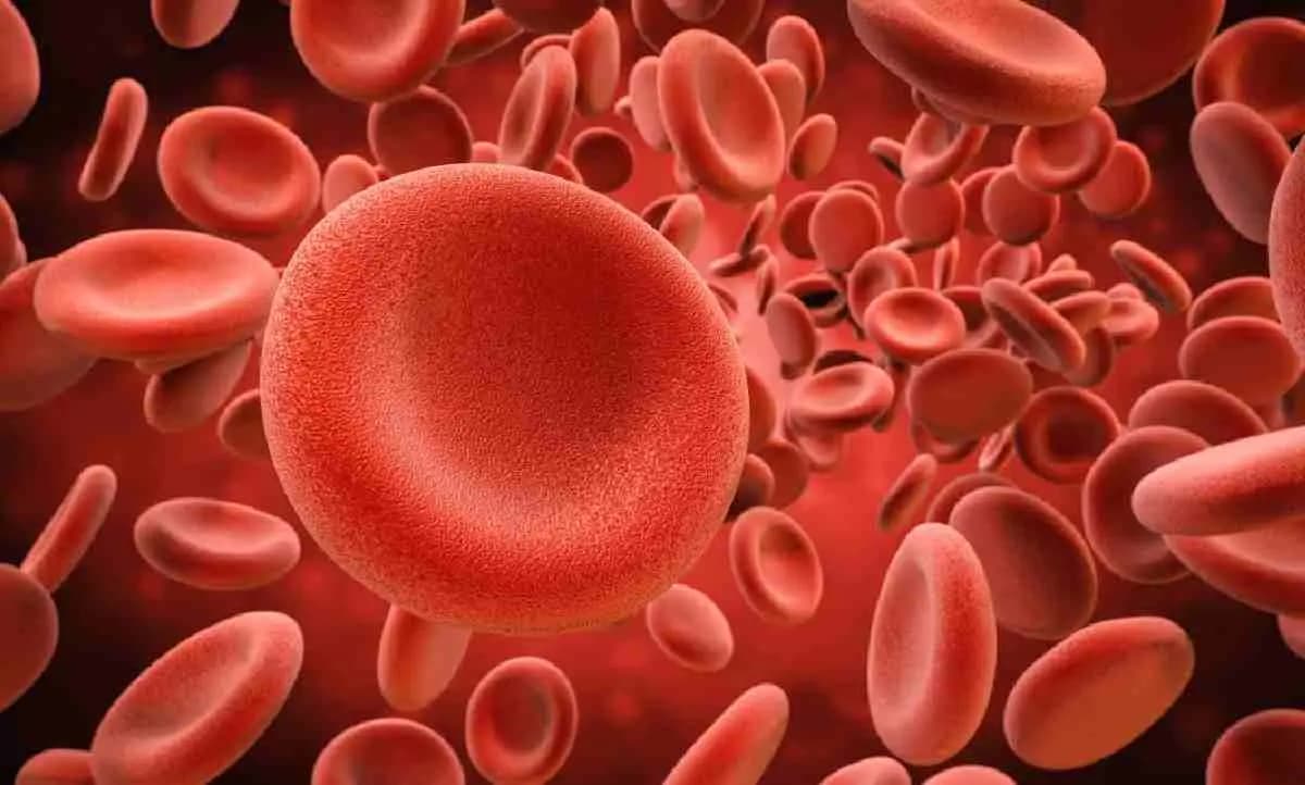 pomegranate can benefit the patients of anemia