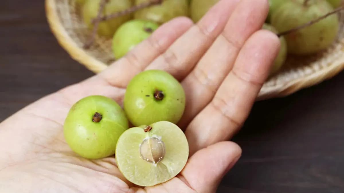 health benefits of amla lif