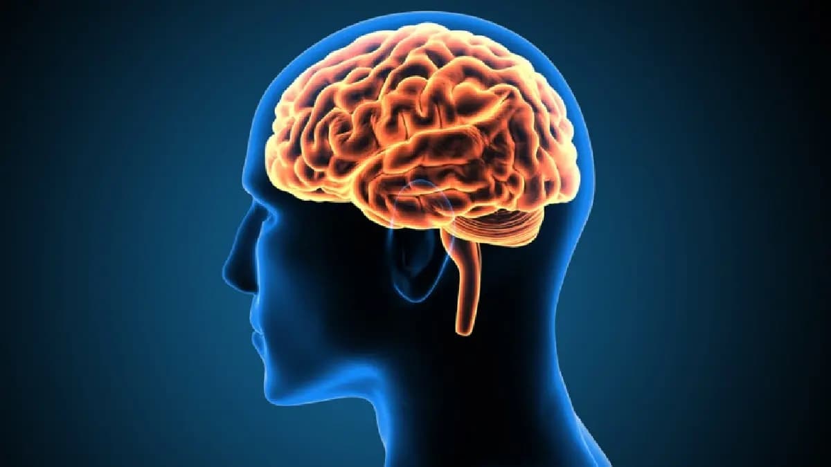 Interventional Radiology is playing a critical role to treat brain problem without operation