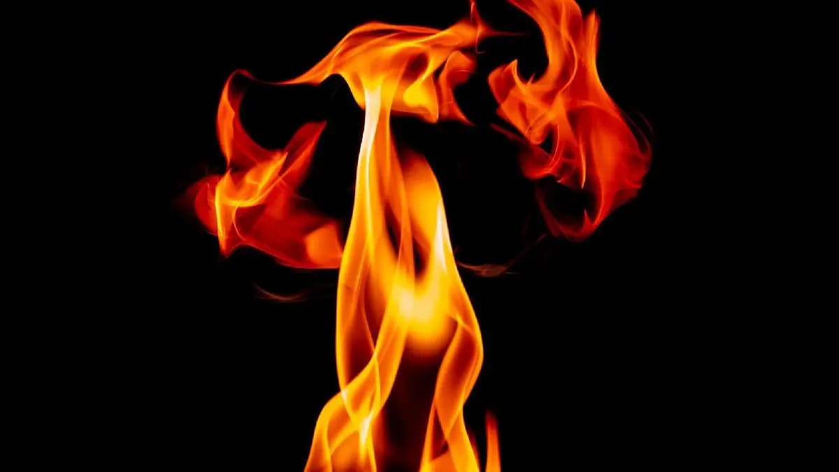 Fire At E-Rickshaw Charging Station In Delhi two died 