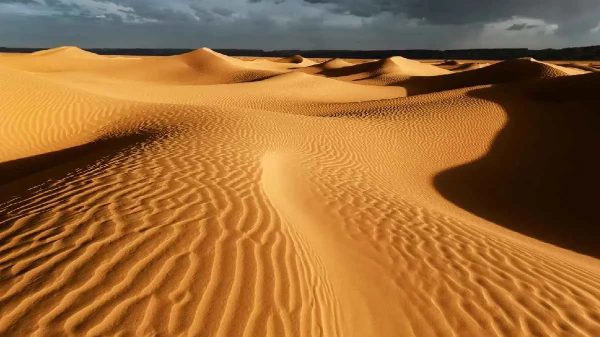 Scientist Discovered 7000 year Old Mummies in the Sahara Desert 
