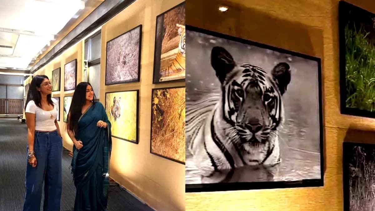 Project Tiger Golden Jubilee Celebrated in Kolkata Through Photo Exhibition