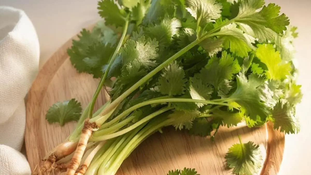  coriander leaves helps to prevent blood pressure level and also helps to maintain skin tone bright lif