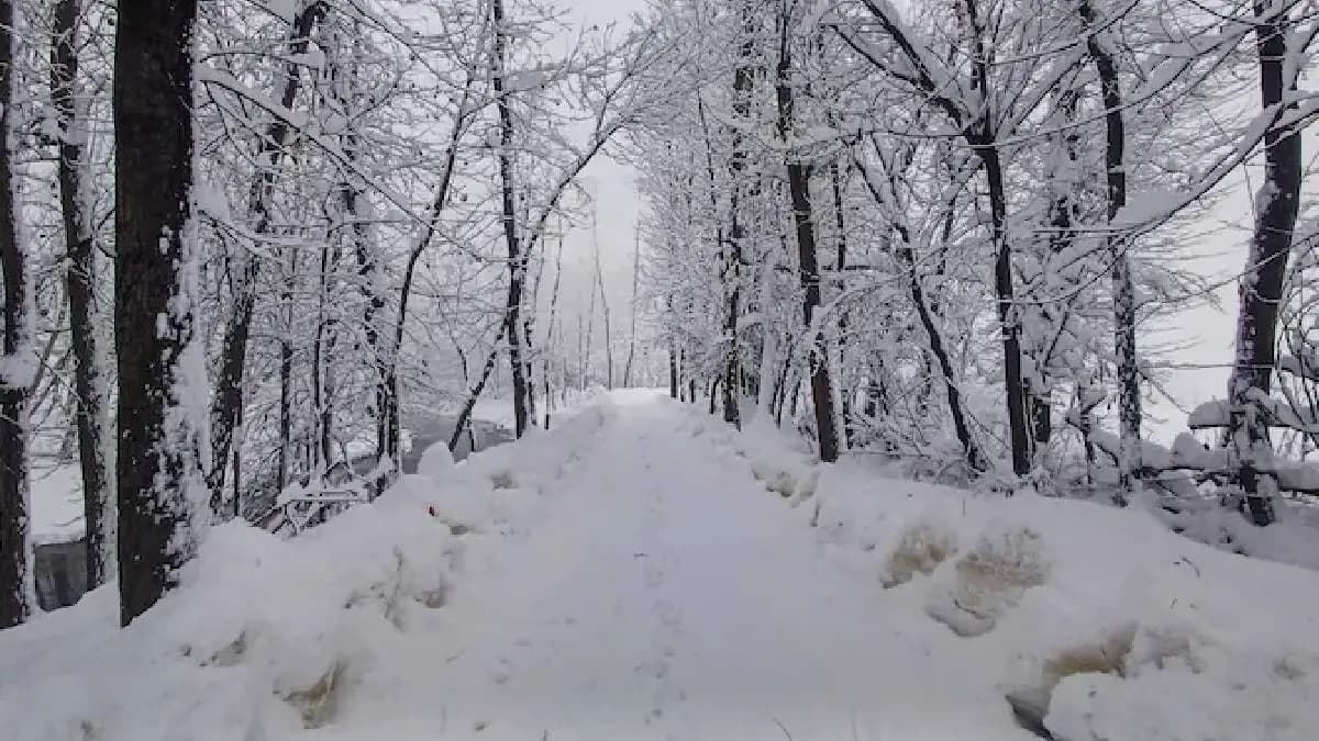 New Year to begin with heavy snowfall in jammu and Kashmir gnr