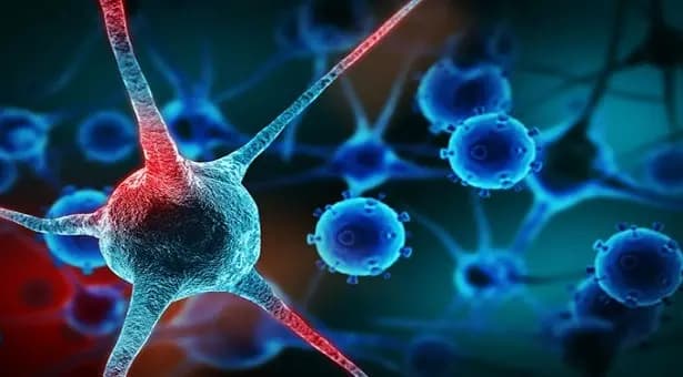 World Cancer Day How lifestyle changes can cut our cancer risk by half details inside lif