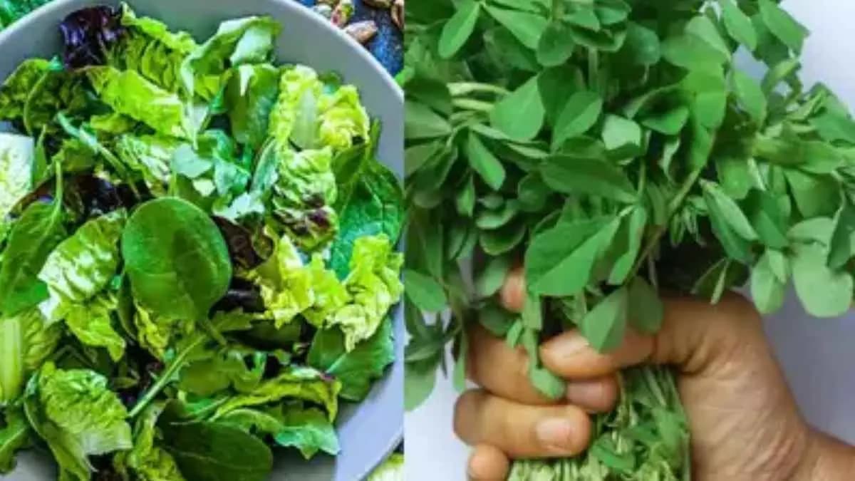 Methi leaves have many health benefits including controls blood sugar level and cholesterol level lif 