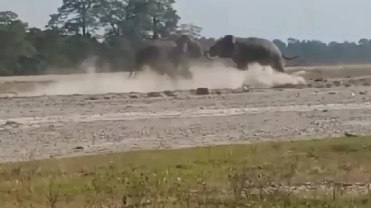 Tuskers engaged in fight for leadership in jalpaiguri gnr