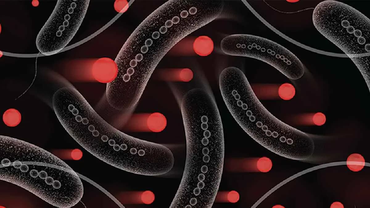 New Bacteria found on Chinese space station has never found on Earth