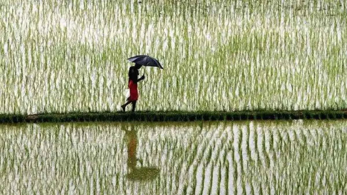 Surprising connection between early evolution of Indian monsoon and Antarctica